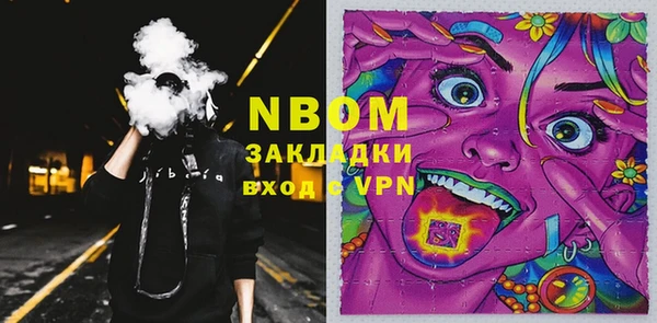 прущие грибы Протвино